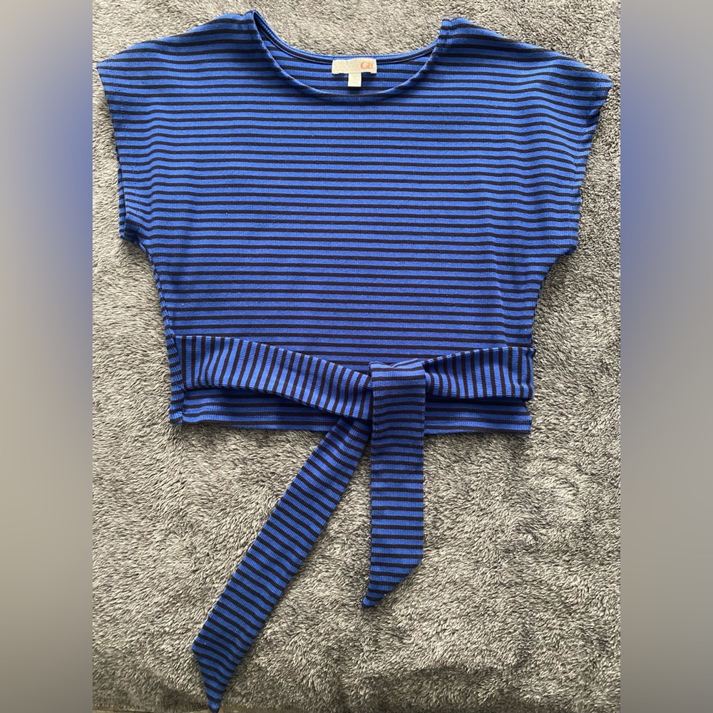GB Crop Top